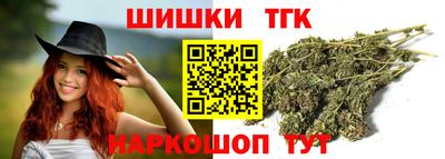 шишки Новодвинск
