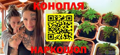 Альфа ПВП Нальчик