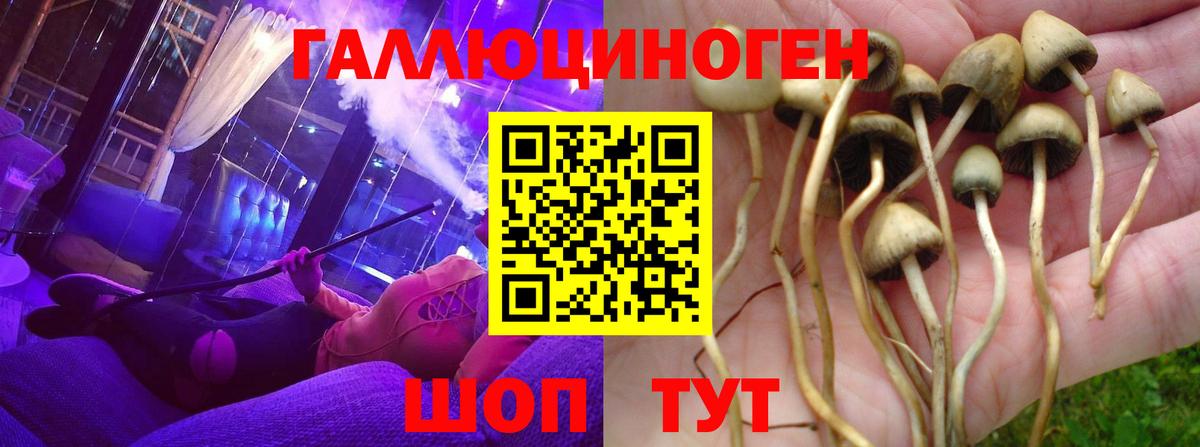 Псилоцибиновые грибы Psilocybine cubensis  Вход с VPN  Сибай  Галлюциногенные грибы MAGIC MUSHROOMS 